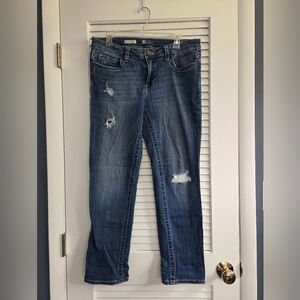 KUT from the Kloth STEVIE Ankle Straight Leg Jeans
